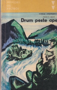 Vasile Andreescu - Drum peste ape