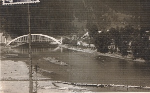 Vedere din Brosteni (circulata 1912)