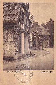 Vederi din Sinaia. Castelul Pelisor (circulata 1952)