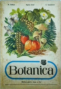 Alexandru Dabija - Botanica. Manual pentru clasa a V-a