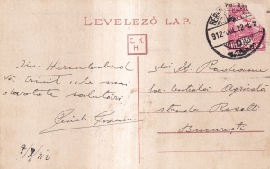 Baile Herculane / Herkulesfurdo. Kozpont (circulata 1912) - Img 2