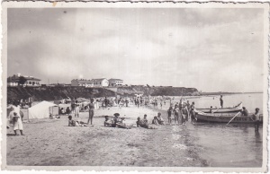 Baile Mangalia (necirculata)