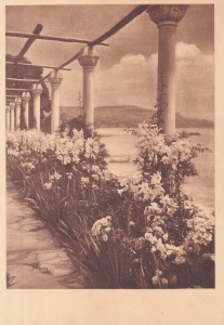 Balcic. Pergola cu crini (scrisa)
