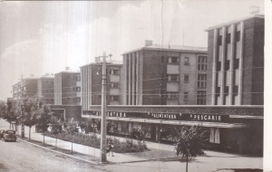 Bucuresti. Cartierul muncitoresc ,,Ferentari" (scrisa)