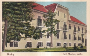 Buzias. Hotel Muschong (1927, necirculata)