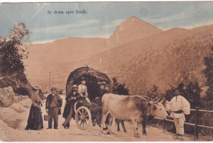 Campulung. In drum spre Rucar. (circulata 1914)