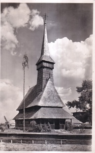 Il museo del villaggio București: Le Musée du Village (necirculata)