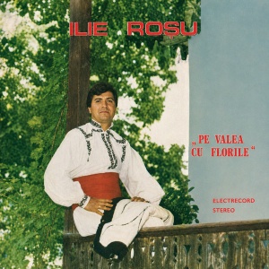 Ilie Rosu – Pe valea cu florile