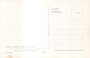 Oraselul copiilor. Castelul de clestar (necirculata) - Img 2