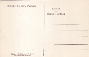 Salutari din Baile Pucioasa. Bulev. si str. Regala (necirculata) - Img 2