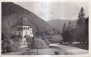 Sinaia. Vedere din parc (circulata 1939)