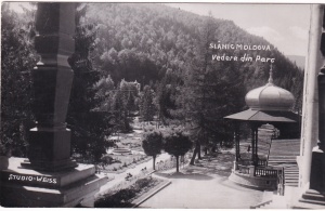 Slanic-Moldova. Vedere din Parc (necirculata)