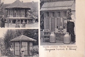 Stupina preotului Nicolae Martinovici, Topolovet (circulata 1910)