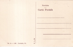 Turnu-Magurele. Vedere generala (1927, necirculata) - Img 2