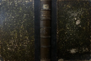 A. D. Xenopol - Istoria romanilor din Dacia Traiana, volumul 3: Istoria medie, partea a doua: De la moartea lui Petru Rares la Mateiu Basarab si Vasile Lupu (cu planuri de batalii) (editia princeps, 1890) - Img 2
