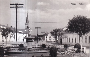 Alesd. Vedere (circulata 1963)