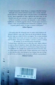 Anda Docea - Camere de hotel - Img 2