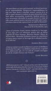 Bjornstjerne Bjornson - Mostenirea familiei Kurt - Img 2