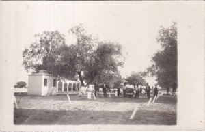 Braila (necirculata)