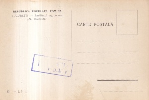 Bucuresti. Institutul agronomic ,,N. Balcescu" (necirculata) - Img 2