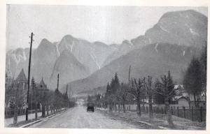 Busteni. Vedere partiala (necirculata)