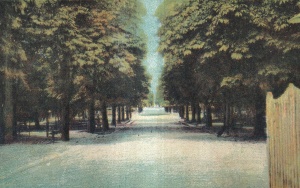 C. Lung Muscel Gradina Publica (circulata 1930)