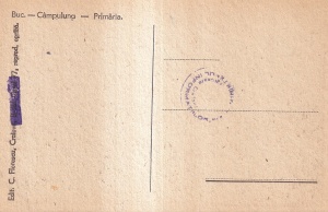 Campulung. Primaria orasului Campulung (necirculata) - Img 2