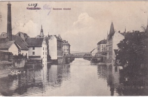 Cluj. Szamos rezslet (1914, circulata 1920)