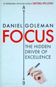 Daniel Goleman - Focus. The hidden driver of excellence
