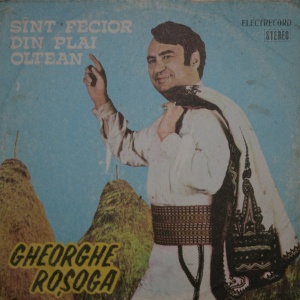 Gheorghe Rosoga – Sant fecior din plai oltean