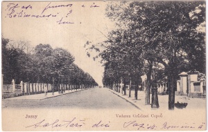 Jassy. Vederea Gradinei Copou Iasi (circulata 1906)
