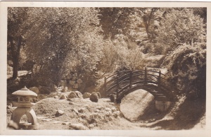 Kolozsvar. Botanikus-kert. (necirculata)