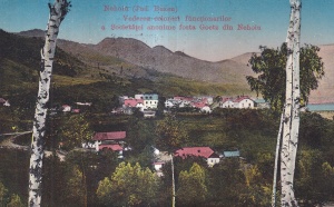 Nehoiu (Jud. Buzeu). Vederea coloniei functionarilor a Societatei anonime fosta Goetz din Nehoiu (circulata 1925)