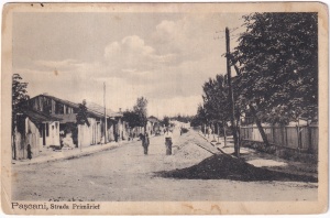 Pascani. Strada Primariei (scrisa 1918)