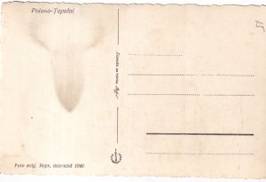 Poiana Tapului. Vedere (1940, necirculata) - Img 2