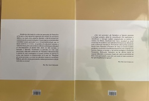 Pr. dr. Ilie Chiscari - Taina Fiului Omului. Studiu exegetic-teologic al prevestirilor Patimilor si Invierii in Evangheliile sinoptice, 2 volume - Img 2