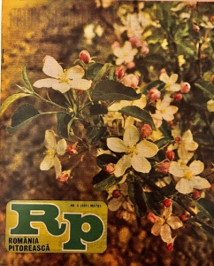 Romania Pitoreasca, nr. 5, mai 1985