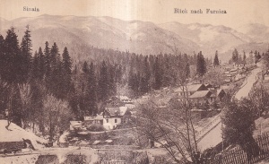 Sinaia Blick nach Furnica (necirculata)