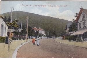 Suvenir din Azuga, Vedere de pe Bulevard (circulata 1923)