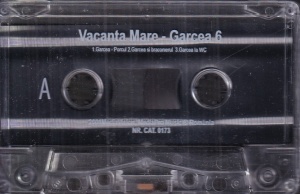 Vacanta Mare – Garcea 6 - Img 4
