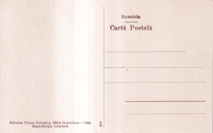 Baile Herculane. Cerna cu podul de fier (1925, necirculata) - Img 2