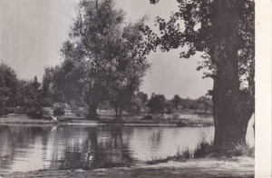 Bucuresti. Lacul Herastrau (circulata 1958)