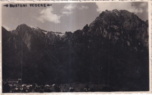 Busteni vedere (necirculata)