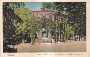 Buzias. Izvorul Mihai (necirculata)