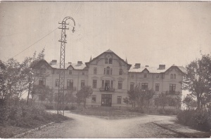 Carmen Sylva (circulata 1921)