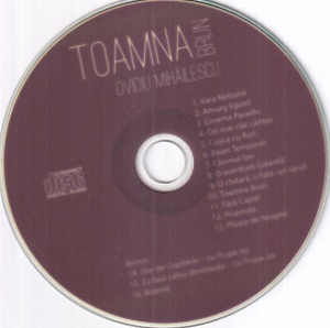 Ovidiu Mihailescu - Toamna brun - Img 3