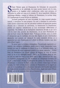 Petroniu Florea - Omilii la duminici, volumul 2 - Img 2