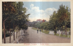 Pitesti, Trivalea. Ocolul Silvic (necirculata)