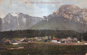 Suvenir din Busteni. Valea Alba (circulata 1925)