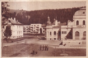 Vatra Dornei - In parc (circulata 1958)